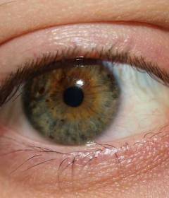 Почему сохнут глаза к вечеру