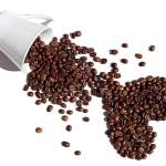  Кофеин: польза и вред для организма, научный подход 