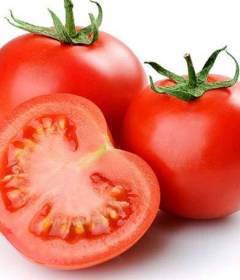 Помидор