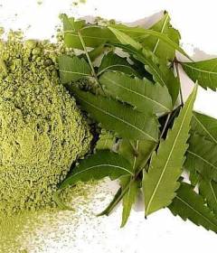 Порошок ник