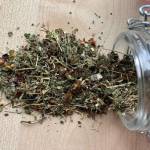  Снижаем вязкость крови без лекарств: рейтинг кроворазжижающих трав 