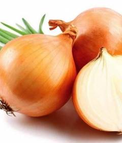 Лук репчатый