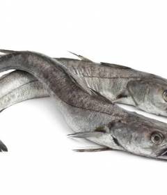 Польза и вред рыбы хек для организма