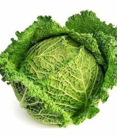 Савойская капуста