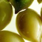  Слива «Какаду» — 10 полезных свойств для здоровья 