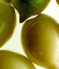 Слива Какаду