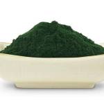  Спирулина – 10 полезных свойств и противопоказания 