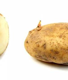 Сырой картофель