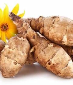 Топинамбур