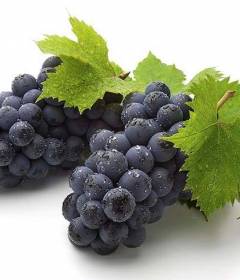 Виноград