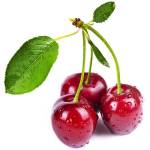 Вишня — 14 полезных свойств, противопоказания и применение 
