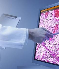 Все о гистологии