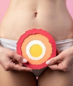 Заморозка яйцеклеток: плюсы и минусы