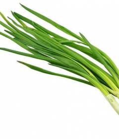 Зеленый лук