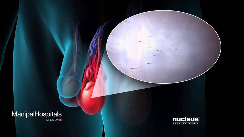 Требует внимания, но без паники: когда записаться к урологу?