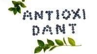 Источник антиоксидантов