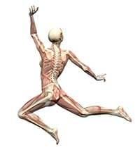 Здоровье костей