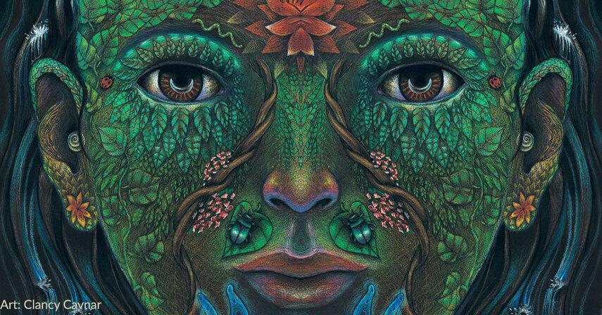 Айяуаска: ключ к глубокому пониманию себя и мира вокруг