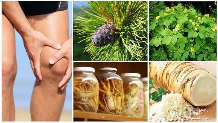 Лечение артрита коленного сустава народными средствами