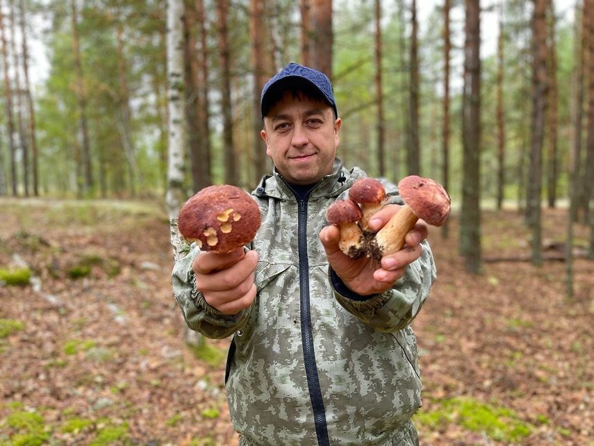 Правила употребления