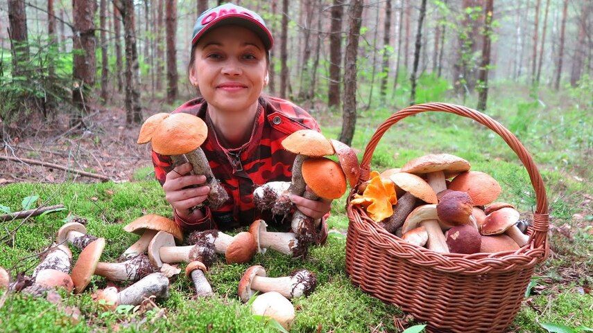 Как правильно выбирать и собирать