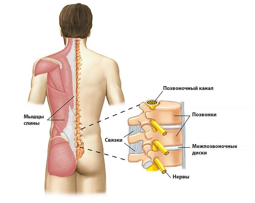 Причины болей в нижней части спины