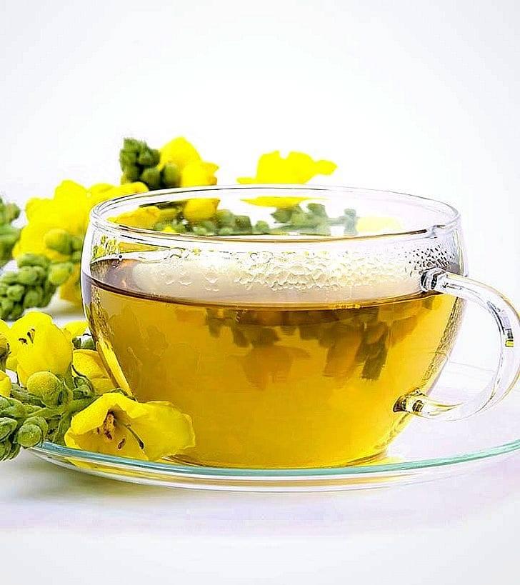 Чай с коровяком — 10 полезных свойств и противопоказания