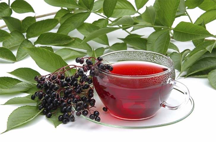 Чай с листьями черной смородины: 8 полезных свойств