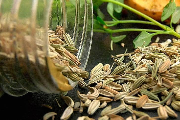 Анис и фенхель