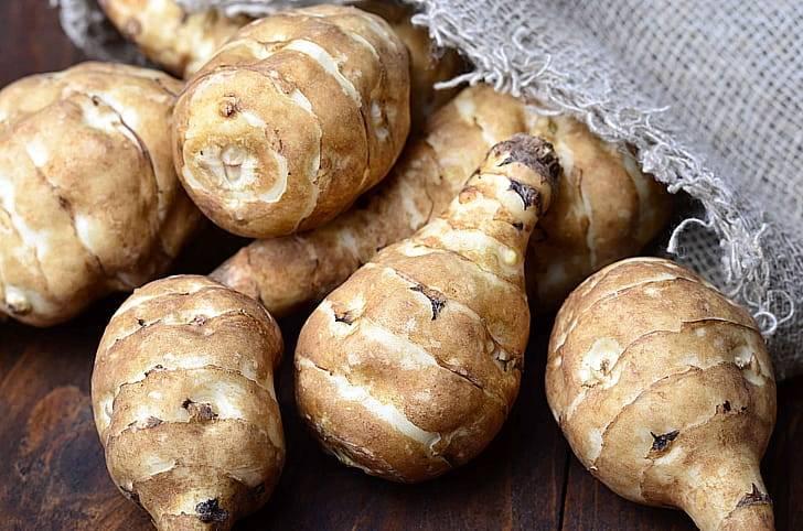 Полезные свойства корня растения