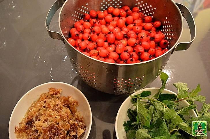 Отвар боярышника