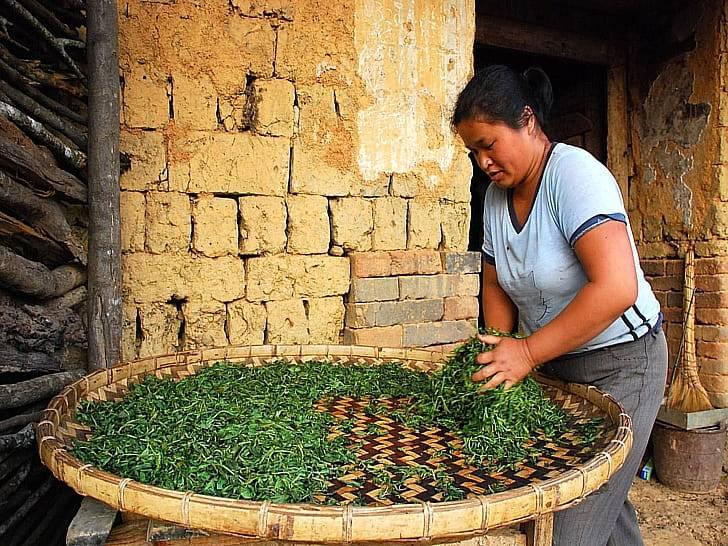 Как производят молочный улун