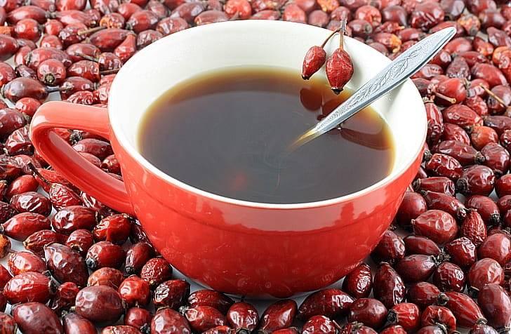 Отвар шиповник