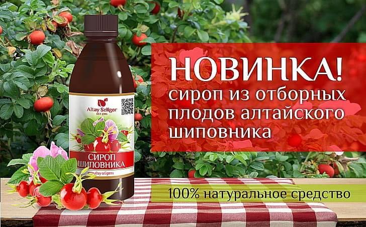 Сироп шиповник