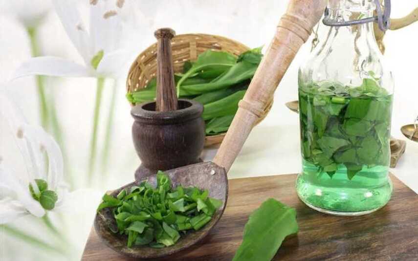 Применение в народной медицине