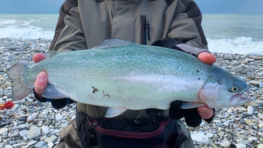 Химический состав и пищевая ценность: Заглянем под чешую