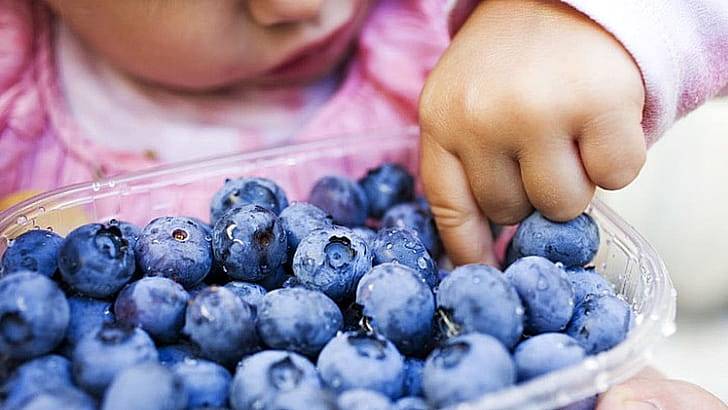 Ребенок и голубика