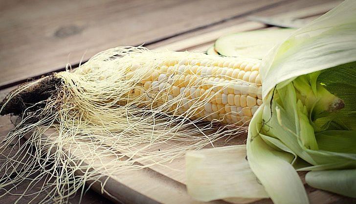 Кукурузные рыльца