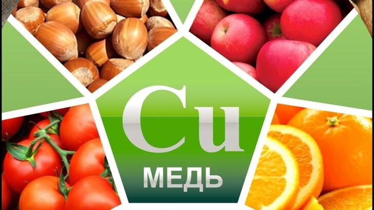 Чем опасен избыток меди