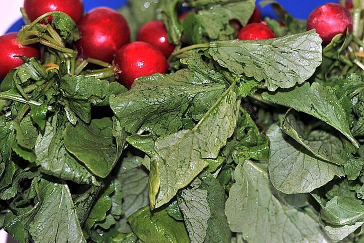 Сок ботвы редиса