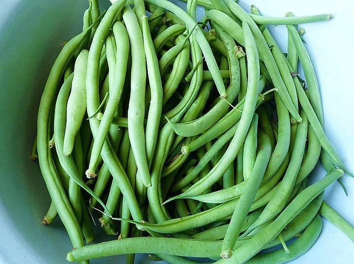 Бобовая спаржа