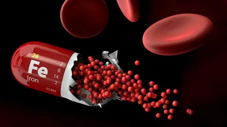 Суточная потребность в железе