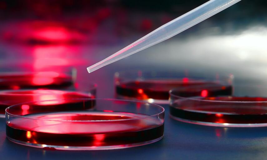 Заболевания крови, которые лечит гематолог