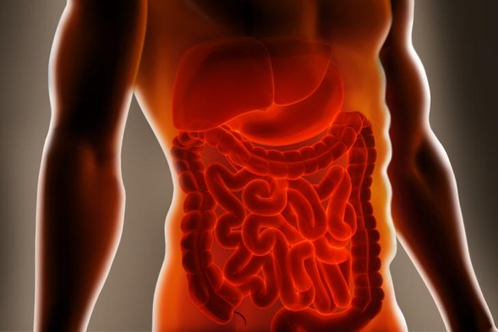 Результаты рентгена брюшной области