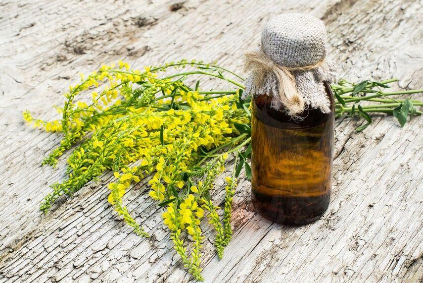 Применение донника