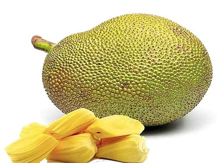 Джекфрут — 11 полезных свойств огромного фрукта