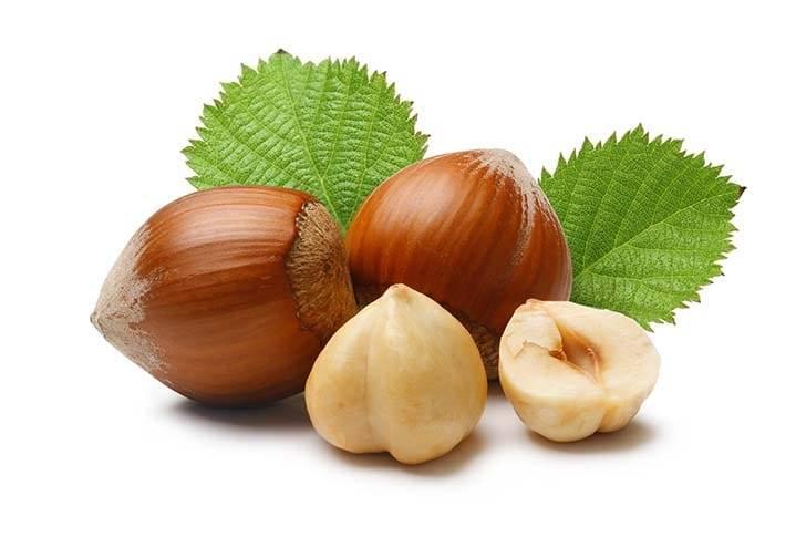 Орехи лесного фундука – польза и вред