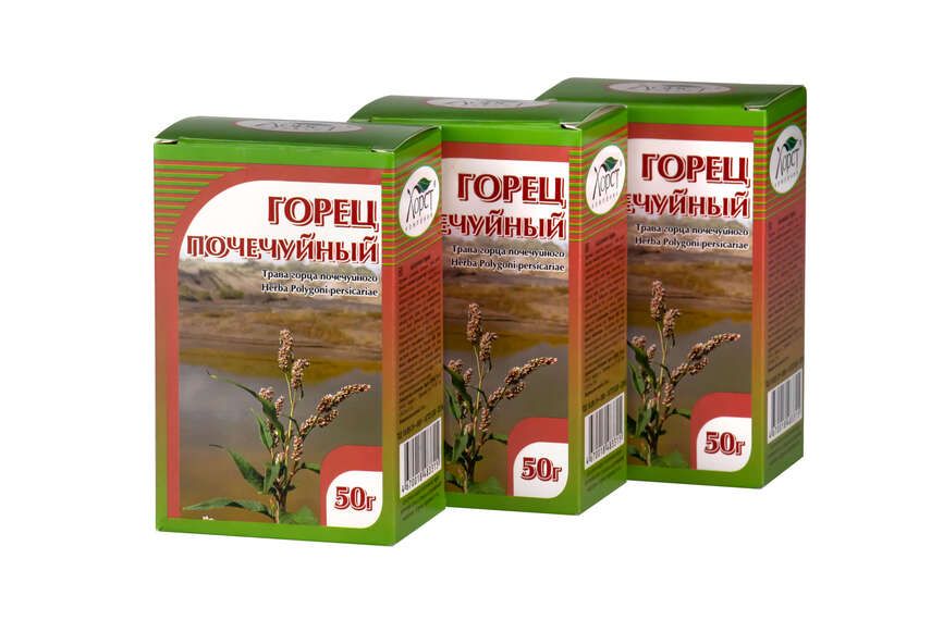 Применение горца почечуйного в народной и официальной медицине