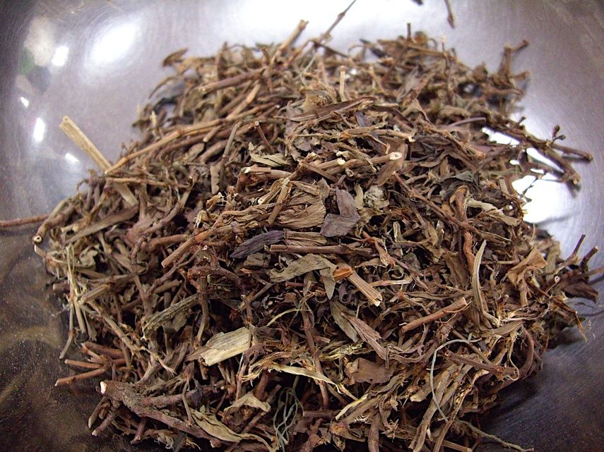 Рецепты на основе горца почечуйного