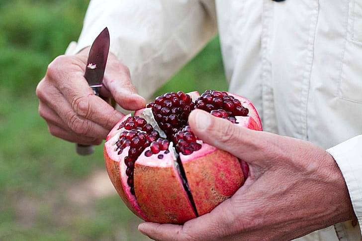 Польза граната для мужчин